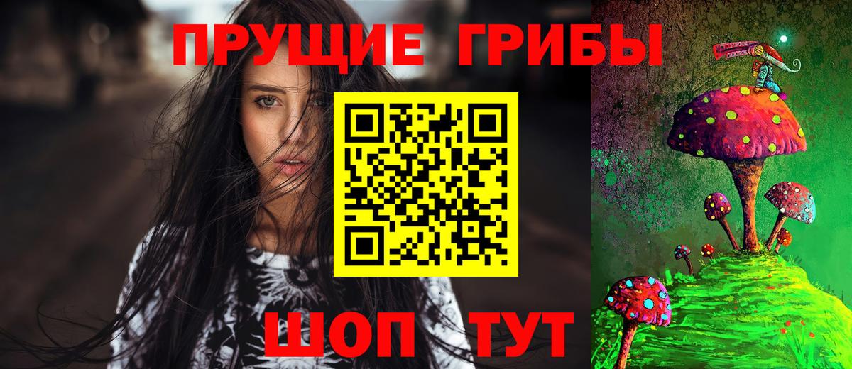 Галлюциногенные грибы Psilocybine cubensis Алексин