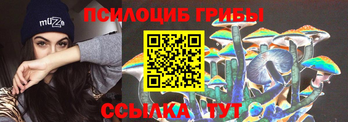 Псилоцибиновые грибы Psilocybine cubensis  Галлюциногенные грибы Psilocybine cubensis  Вход с VPN  Алексин 